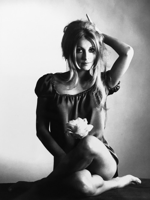 simply-sharon-tate:  Sharon Tate for Valley porn pictures