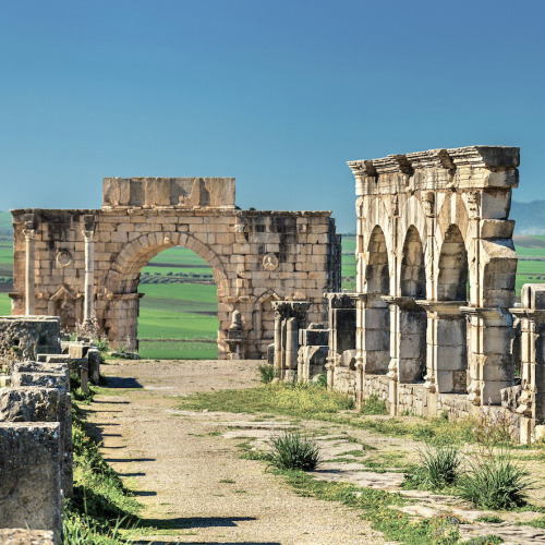 The Decumanus Maximus with the Hercules Works House and the Triumphal Arch, Volubilis, Morocco.Learn