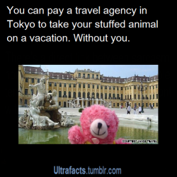 tonywinningblog:  ultrafacts:  pizzaismylifepizzaisking:ultrafacts:Unagi Travel has been organizing stuffed animal tours throughout Japan, Europe and the United States. The travel agency gives tours not to you but to your favorite plush toy. For fans