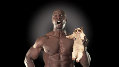 The Funniest GIFs On the Internet