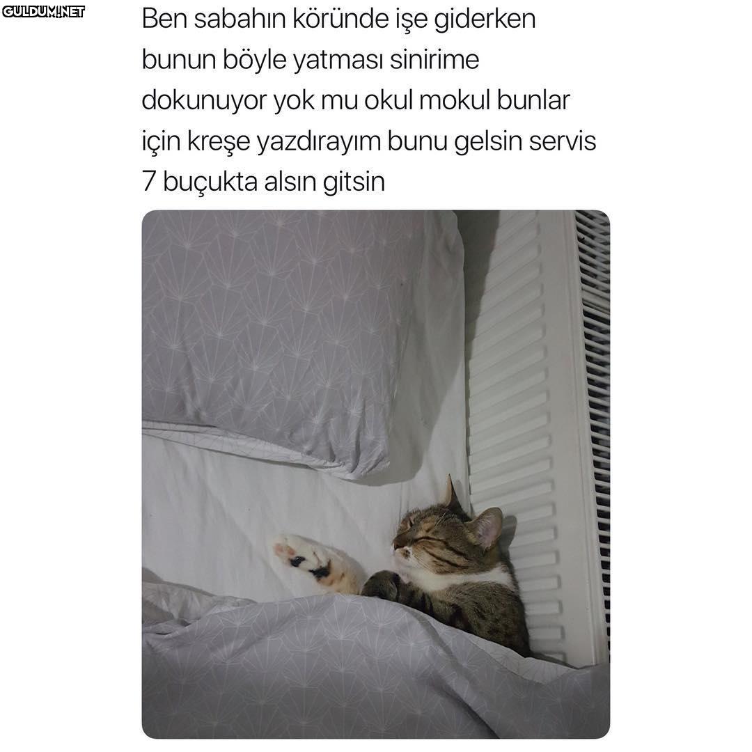 Ben sabahin köründe ise...