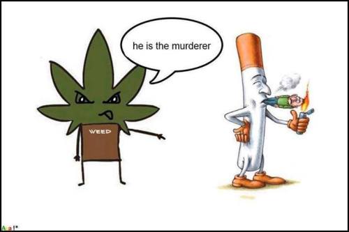 ☮