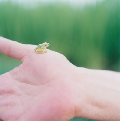 nobrashfestivity:Rinko Kawauchi