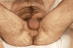 barebearx:  ~~~~PLEASE FOLLOW ME ** ~ ♂♂ OVER 23,000 FOLLOWERS~~~~~~ http://barebearx.tumblr.com/ **for HAIRY men &amp; SEXY men** http://manpiss.tumblr.com/ **for MANPISS FUN **                   ~~~~~~~~~~~~~~~~~~~~~~~~~~~~~~~~~~