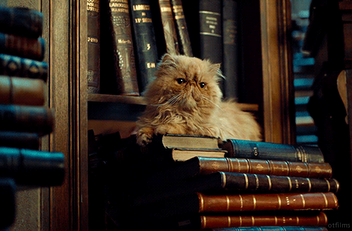 cinematic-literature: Harry Potter and the Prisoner of Azkaban (2004) by Alfonso Cuarón  