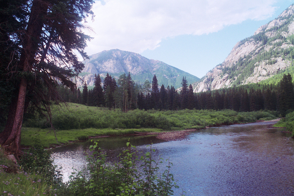 forestmood:Los Pinos River, Colorado July 1994 by Mike Schaffner