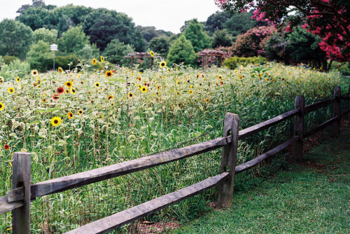 turbinis:  *** by Justin Wolfe on Flickr.  x