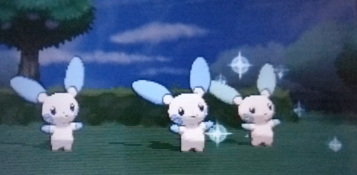 I did like 50-100 soft resets for good-nature starters and then freaking second horde battle in Poké