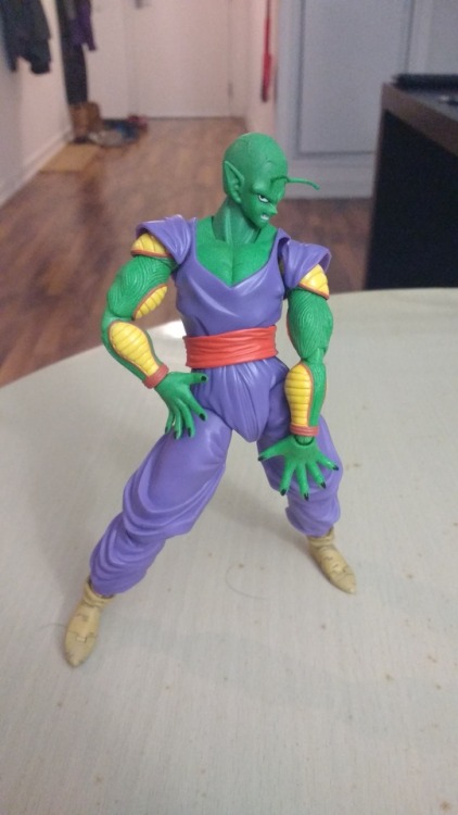 janembascandyhell:SH Figurearts makes quality products