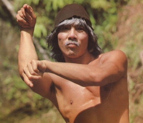 snoopbloggyblogg:  Chin Yuet-Sang as the Mantis Fist master in “The Thundering Mantis”.  Study the style,  but master the life Nice Life