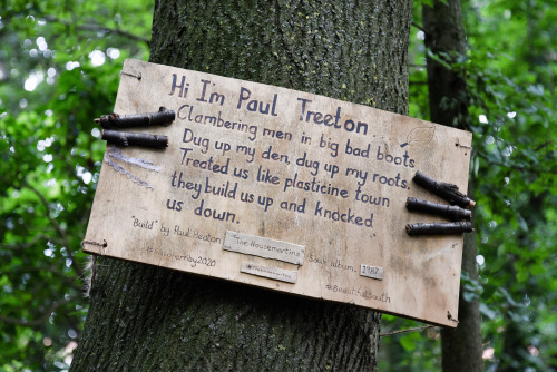 Day 1136 - “Build” lyrics by the Housemartins on a tree hoping to inspire the protection of some woo
