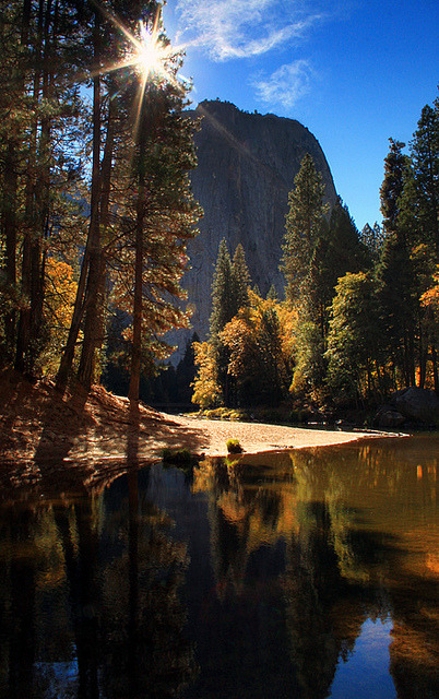 linodossantosme:Shining Star by Jason Branz on Flickr.