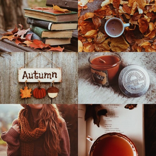 wizardring: autumn aesthetics ♡ “autumn seemed to arrive suddenly that year. the morning of th