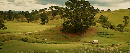 shiremaiden:  30 DAY LOTR CHALLENGE | Day 17 ➼ Scenery appreciation “Home is behind, the world ahead.” 