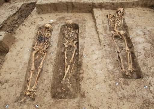 Skeletons of 200 Napoleonic troops found in Germany
