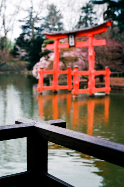 italdred:shinto spring (by jillysp)