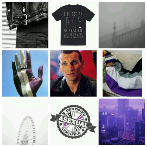 quailfence: drwhoboards:Doctor Who moodboard: Ninth Doctor - Asexual (requested by: anon) @aevios [I