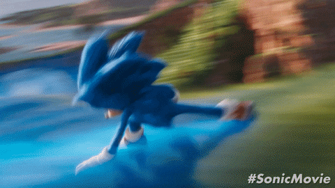 I’m Going To Make This Post As An Intro To Sonic Characters For People Who Don’t Know Them. For Fun.