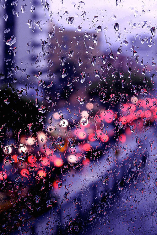 plasmatics-life:  Rain Day ~ By Mell Sánchez
