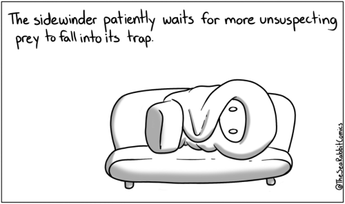 thesearabbitcomics:  So basically just camp for your food. Thanks nature. 