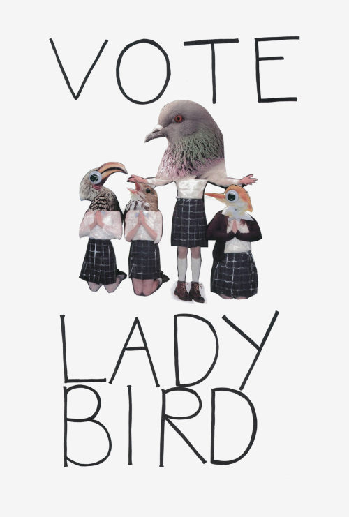 cineboutique:Lady Bird (2017)