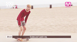 arariou-blog:  zelo + skateboards 