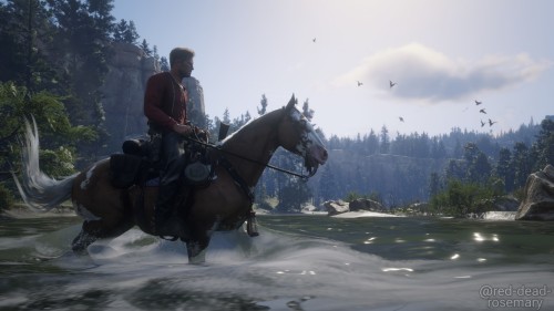 Enjoying Nature.