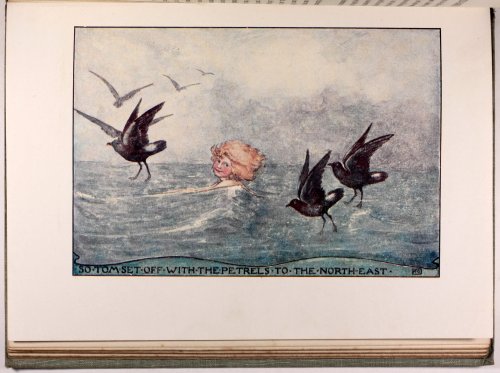 michaelmoonsbookshop:The Water Babies - by Charles Kingsley c1910Colour illustration by Katherine Ca