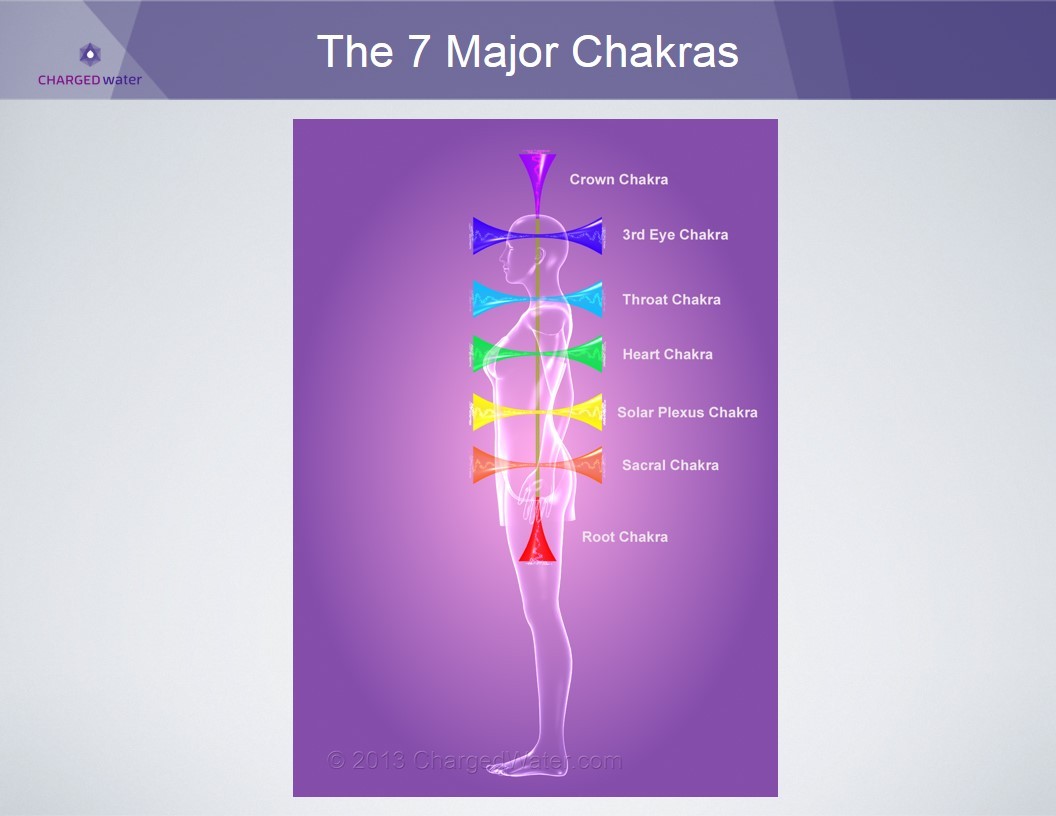 metanoia-world:  Major Chakras   A chakra is an spinning energy center that manages