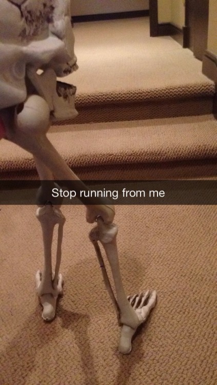 spoopytime-meeko:coopercinno:#humerusthis site’s obsession with skeletons and bone-related puns is a