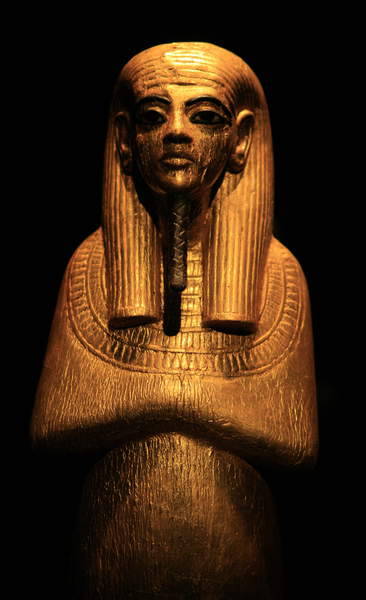 Statue of DuamutefDuamutef, one of the Four Sons of Horus, protectors of the mummified organs of the