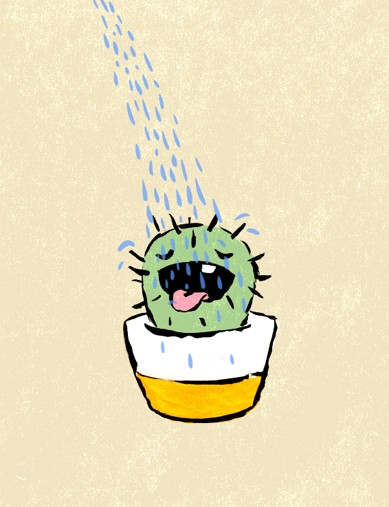 gharles:adamvanwinden:Thirsty Cactus (It’s probably got a drinking problem for a cactus to be honest