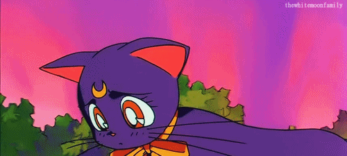 cat-ventures