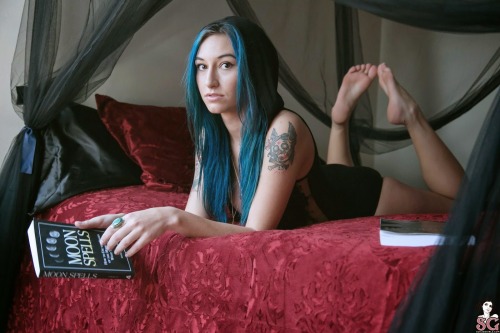 tafkafi:  Moon Suicide - Quickly becoming a favorite of mine.