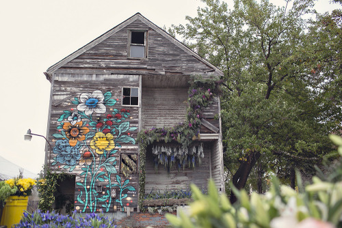 earthsnirvana:   culturenlifestyle:  Abandoned Detroit House is Transformed with 36,000 Flowers In November 2014, florist Lisa Waud bought this abandoned, crumbling duplex in Detroit Michigan. Winning the bid at 趚, Waud had not even seen the home.