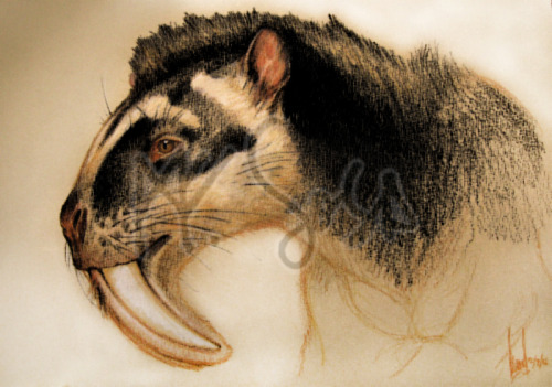 Manuel Sosa - Thylacosmilus atrox