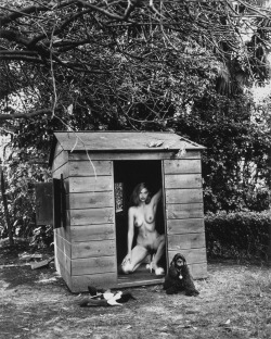 sir-j:  Domestic Nude 7 by Helmut Newton,
