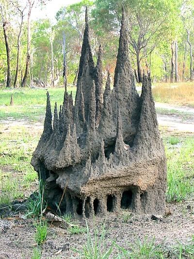 philosibies:a termite castle via /r/ArchitecturePorn