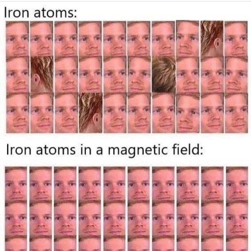 badsciencejokes:I wanted to tell a joke about iron but I didn’t want to pay the fe — view on Instag