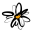 daisiesdontdance