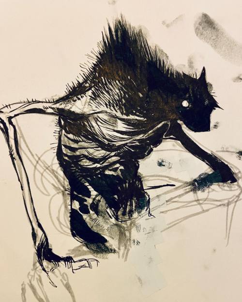 nataliehall:  A late night lycan 🌕 — view on Instagram https://ift.tt/vIabMkw