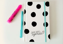 oceansandpetals:  Seriously, could this agenda be any cuter?