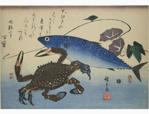 design-is-fine: Utagawa Hiroshige, From the series Fish and Seafood, 1832. Coloured woodcut. Via MK