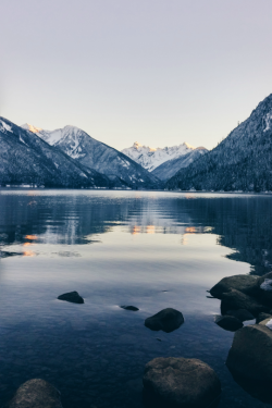 expressions-of-nature:   by msjodinicole