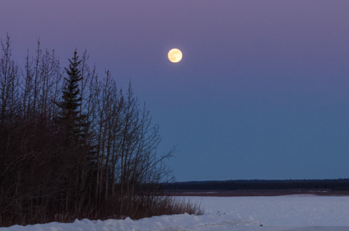 The beautiful full moon in Tulit'a, Northwest Territories, Canada.