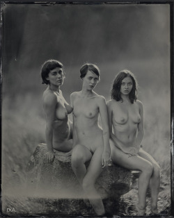 Daveaharonian:glass Olive, Meone, And Thumbelina, Rossland 2014.   8X10 Tintype.