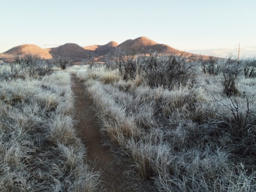 January 2016 - San Pedro River, AZ Request Print   |   Buy Other Prints