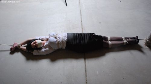 restraineddenial:  bondagehedgehog:Mina Harker   Waiting…. Not sure what how the party upstairs relates to her being the “winner’s reward”…. 
