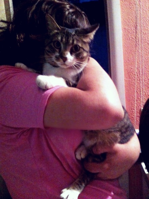 a picture of me hugging chairman meow!(hugs are not her favorite thing)(submitted by basedmadoka)