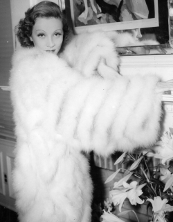 divadietrich:  Marlene Dietrich in her dressing